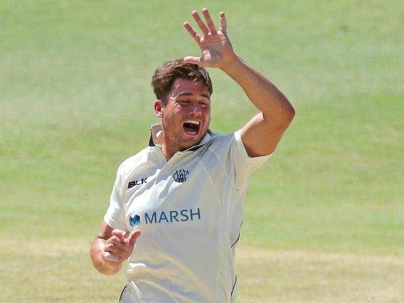 Test hopeful Marcus Stoinis appeals for a wicket in a Sheffield Shield match at the WACA.