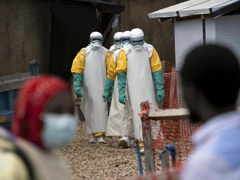 An international health panel has warned of the risk of pandemics striking the globe, such as Ebola.