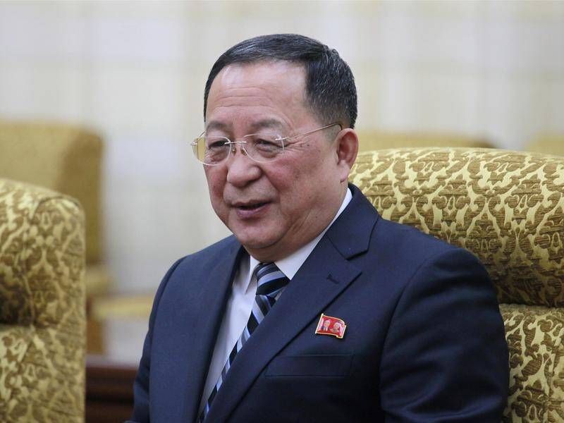 North Korea's Ri Yong Ho has reportedly been replaced as the nation's foreign minister.