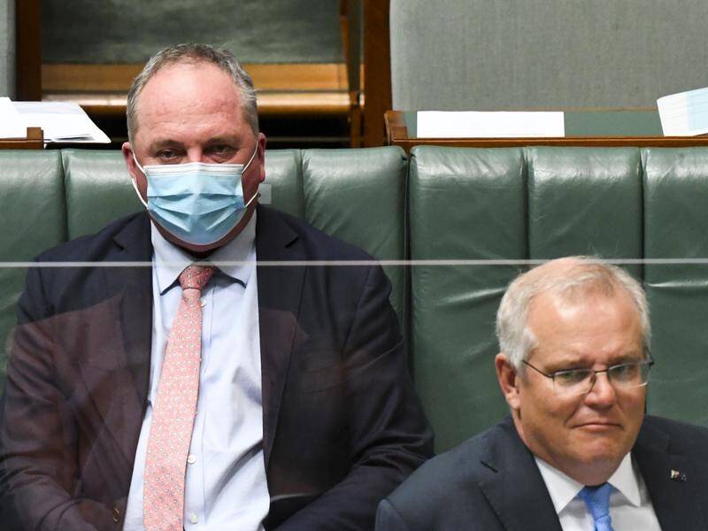 Barnaby Joyce says deciding on a 2050 net zero emissions target "is no pantomime".
