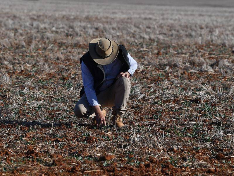 The coalition will pressure Labor to back laws for a drought-proofing fund in federal parliament.
