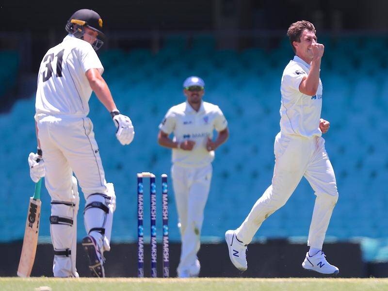 Test quick Pat Cummins was in fine form for NSW against WA in the Sheffield Shield.