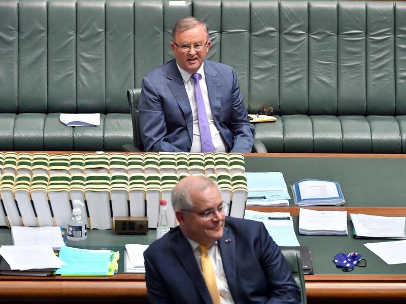 Anthony Albanese and Scott Morrison have both lost voter support in the latest Newspoll.