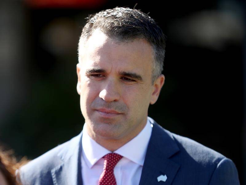 A poll of 810 people shows only 26 per cent see Peter Malinauskas as their preferred premier.