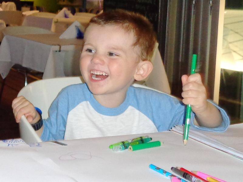 William Tyrell vanished from his grandmother's home on the NSW mid-north coast seven years ago.