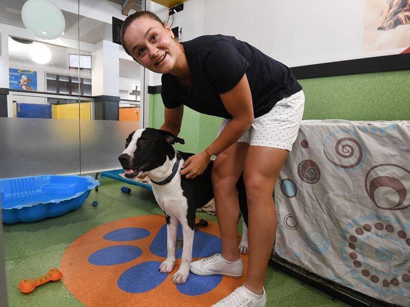 Ashleigh Barty is an RSPCA ambassador and has four dogs of her own.