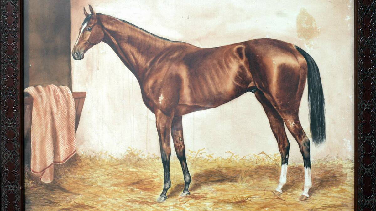 Lord Nolan, 1908 Melbourne Cup winner