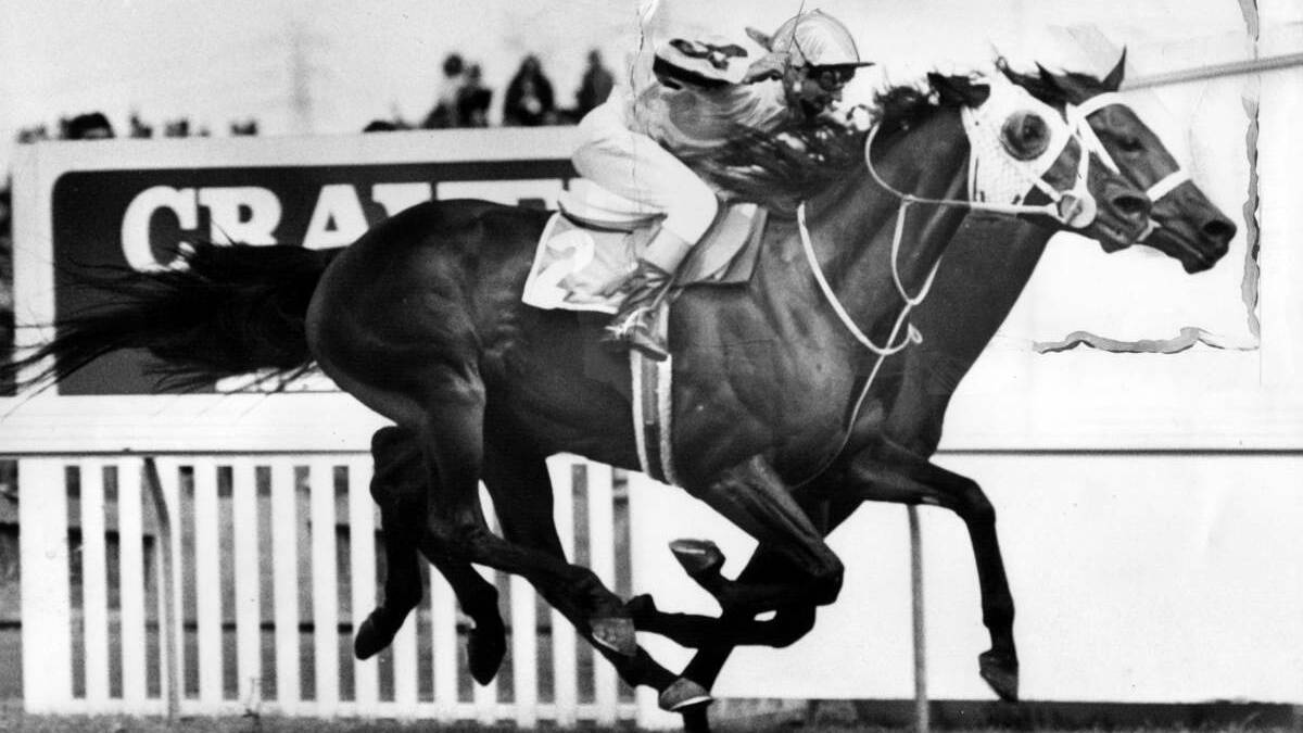 Hyperno on the outside of Salamader wins the 1979 Melbourne Cup.