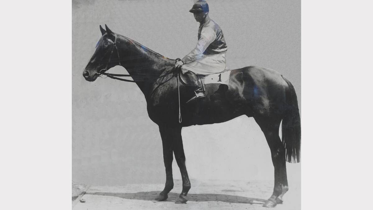 POITREL, winner of the 1920 Melbourne Cup.
