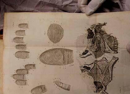 A 1788 anatomy textbook showing fingerprints.